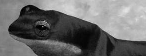 Was ist das?