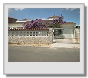 AUT55603.JPG