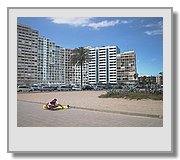 AUT55614.JPG