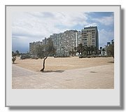 AUT55617.JPG