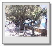 AUT55629.JPG