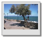AUT55631.JPG
