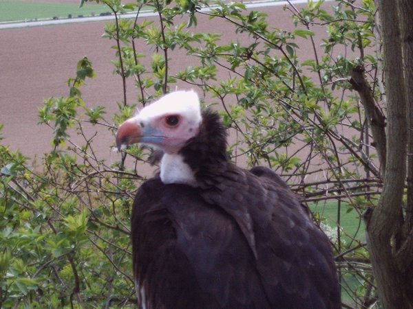 IMG00022.JPG
