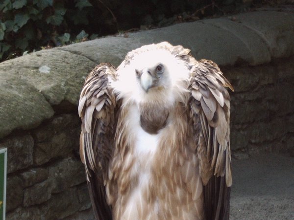 IMG00023.JPG