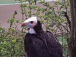IMG00022.JPG