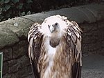 IMG00023.JPG