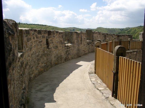 04290129.JPG