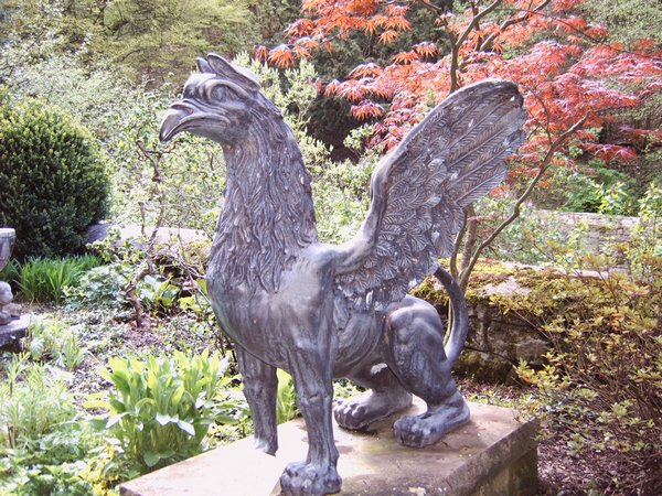 IMG00035.JPG