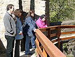 D04290048.JPG