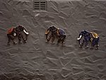IMG00073.JPG