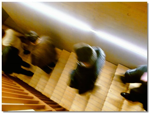 IMAGE_199.jpg