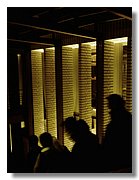 IMAGE_158.jpg