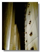 IMAGE_169.jpg