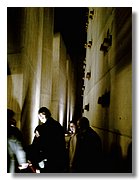 IMAGE_172.jpg