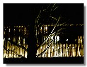 IMAGE_219.jpg