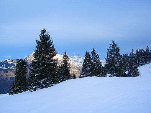 DSCI0004.JPG