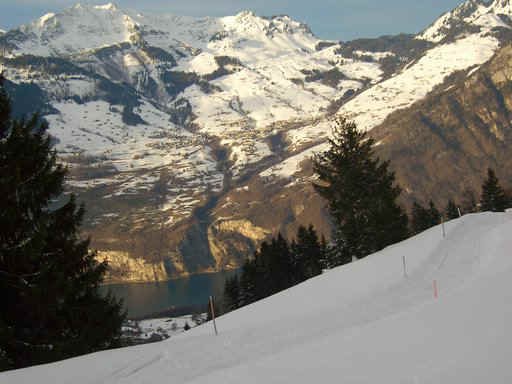 DSCI0008.JPG