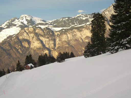 DSCI0009.JPG