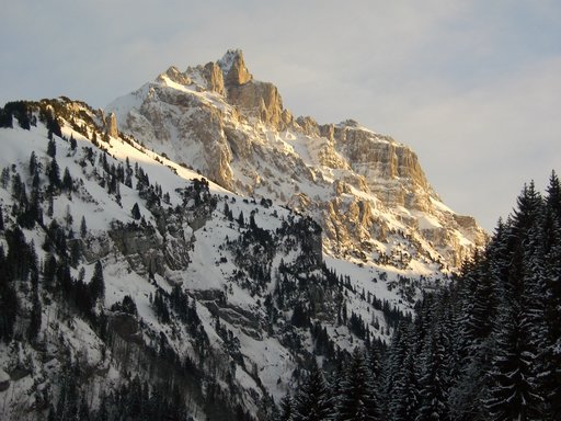 DSCI0022.JPG