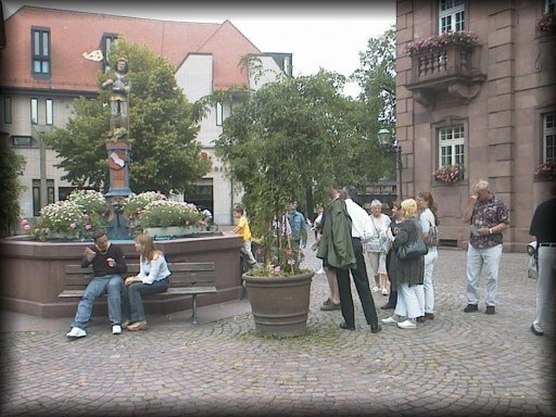 Aut52411.jpg