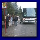 Aut52402.jpg