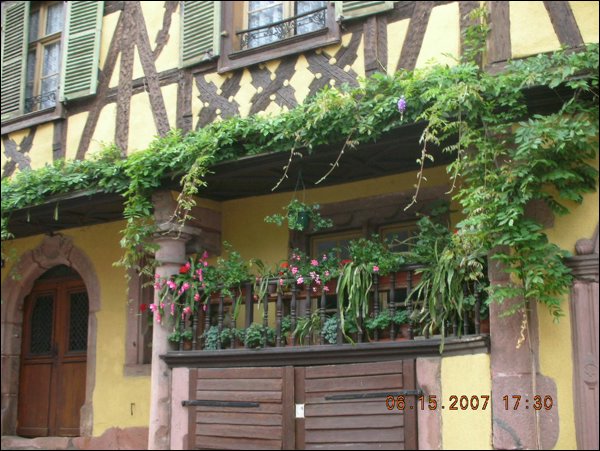 DSCN1214.JPG