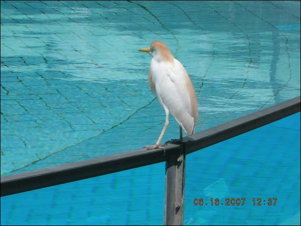 DSCN1233.JPG