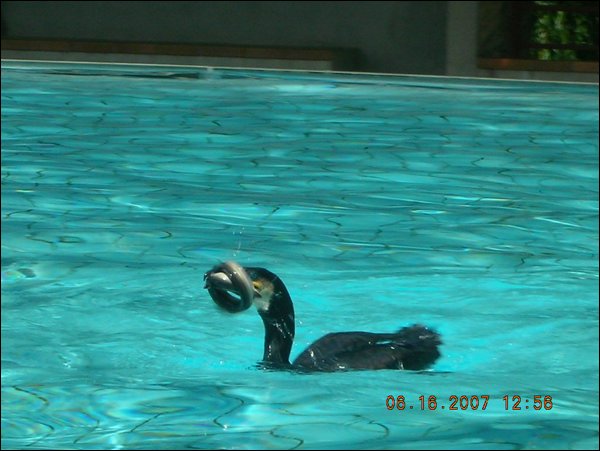 DSCN1250.JPG
