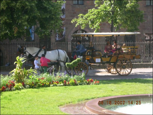 DSCN1266.JPG