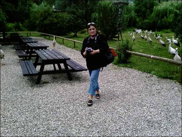 IMAGE_158.jpg
