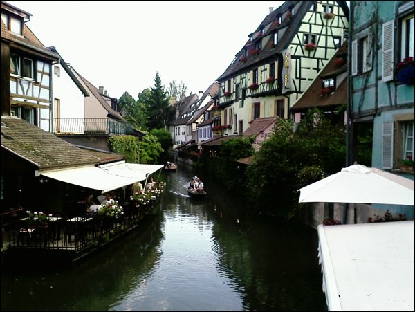 IMAGE_187.jpg