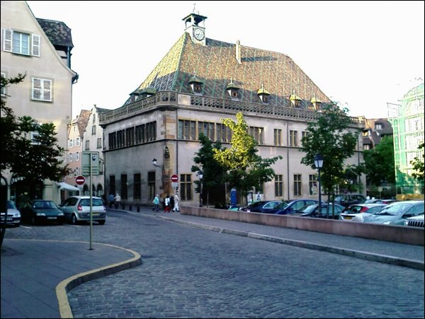 IMAGE_203.jpg