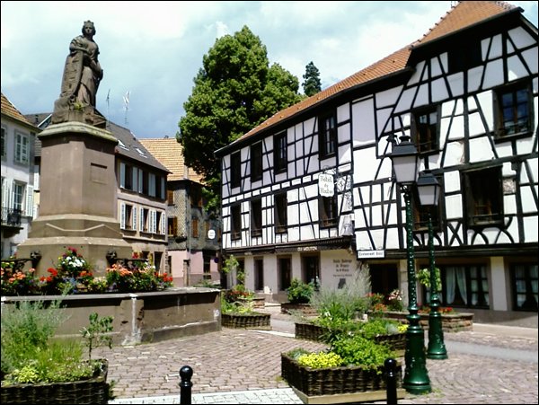 IMAGE_234.jpg