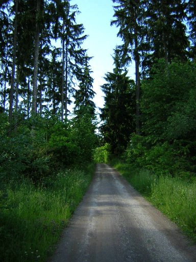 tDscn0458.jpg