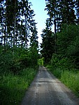 tDscn0458.jpg