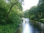 tDscn0602.jpg