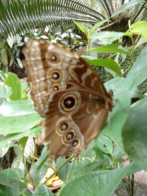 DSC01817.JPG