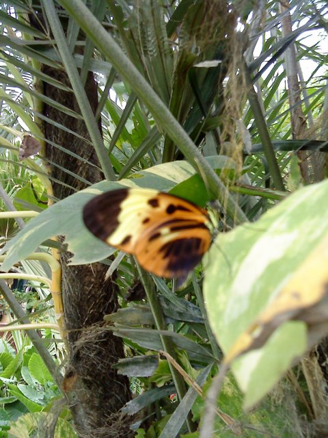 DSC01824.JPG