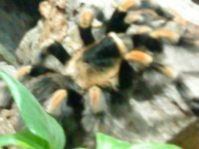 DSC01847.JPG