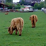 DSC01809.JPG