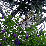 DSC01813.JPG