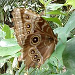 DSC01817.JPG