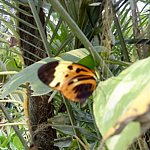 DSC01824.JPG