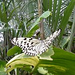 DSC01825.JPG