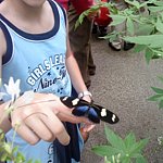 DSC01845.JPG