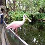 DSC01850.JPG