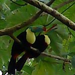 DSC01855.JPG