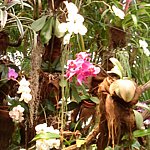 DSC01864.JPG