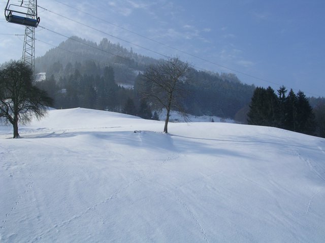Schlitteln2010 (018).JPG