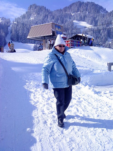 Schlitteln2010 (037).JPG